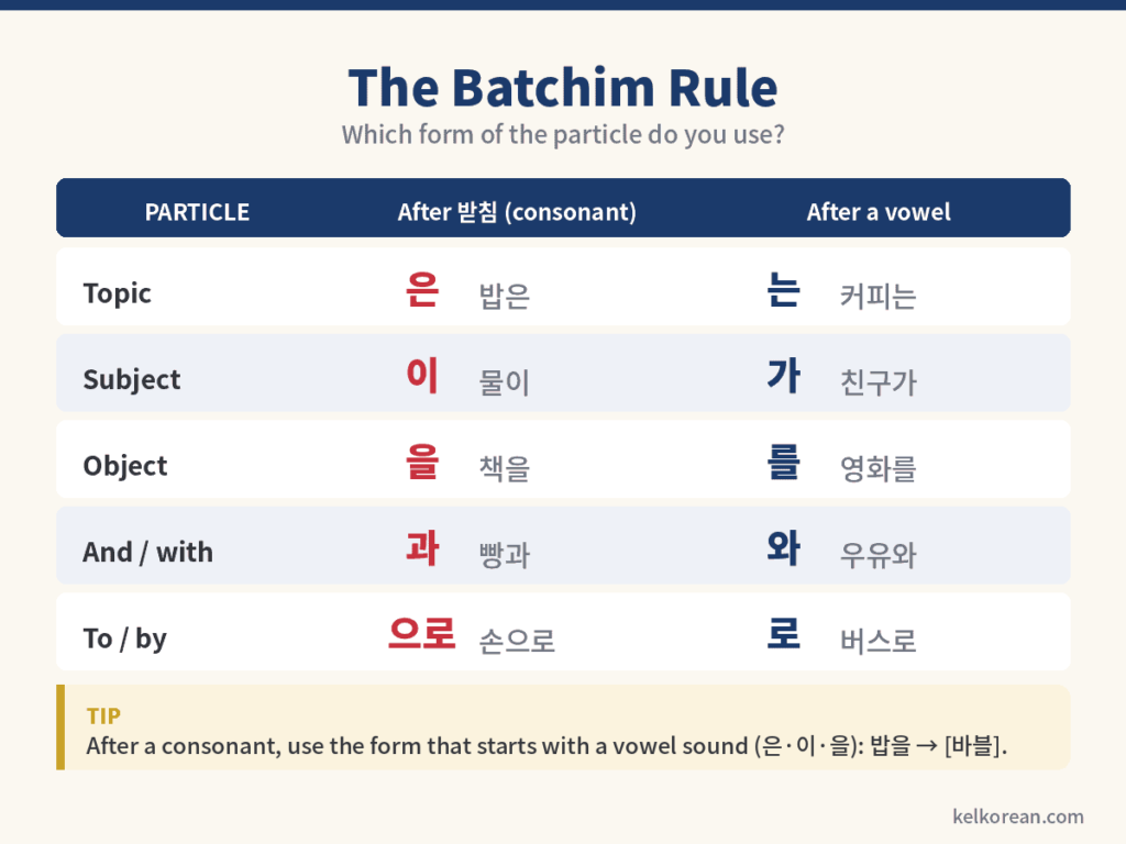 Korean particle batchim rule chart showing 은/는, 이/가, 을/를 forms