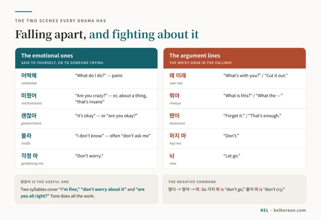 Korean drama dialogue in two groups: the emotional lines 어떡해, 미쳤어, 괜찮아, 몰라 and 걱정 마, and the argument lines 왜 이래, 뭐야, 됐어, 하지 마 and 놔, with the meaning and tone of each