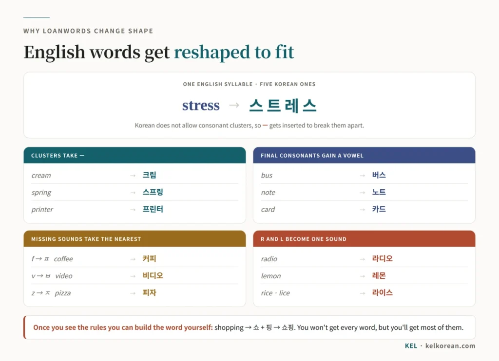 Chart of the sound rules that reshape English loanwords into Korean: consonant clusters take ㅡ as in 스트레스, final consonants gain a vowel as in 버스, f becomes ㅍ, v becomes ㅂ, z becomes ㅈ, and r and l both become ㄹ