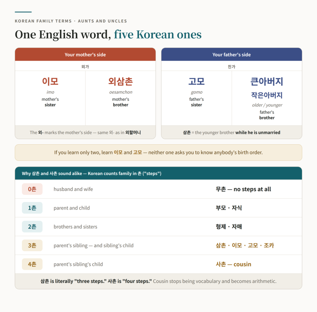 Chart of Korean aunt and uncle words split by family side — 이모 and 외삼촌 on the mother's side, 고모 and 큰아버지 or 작은아버지 on the father's side, with romanization — alongside the Korean 촌 system that counts family distance in steps, showing why 삼촌 means three steps and 사촌 means four