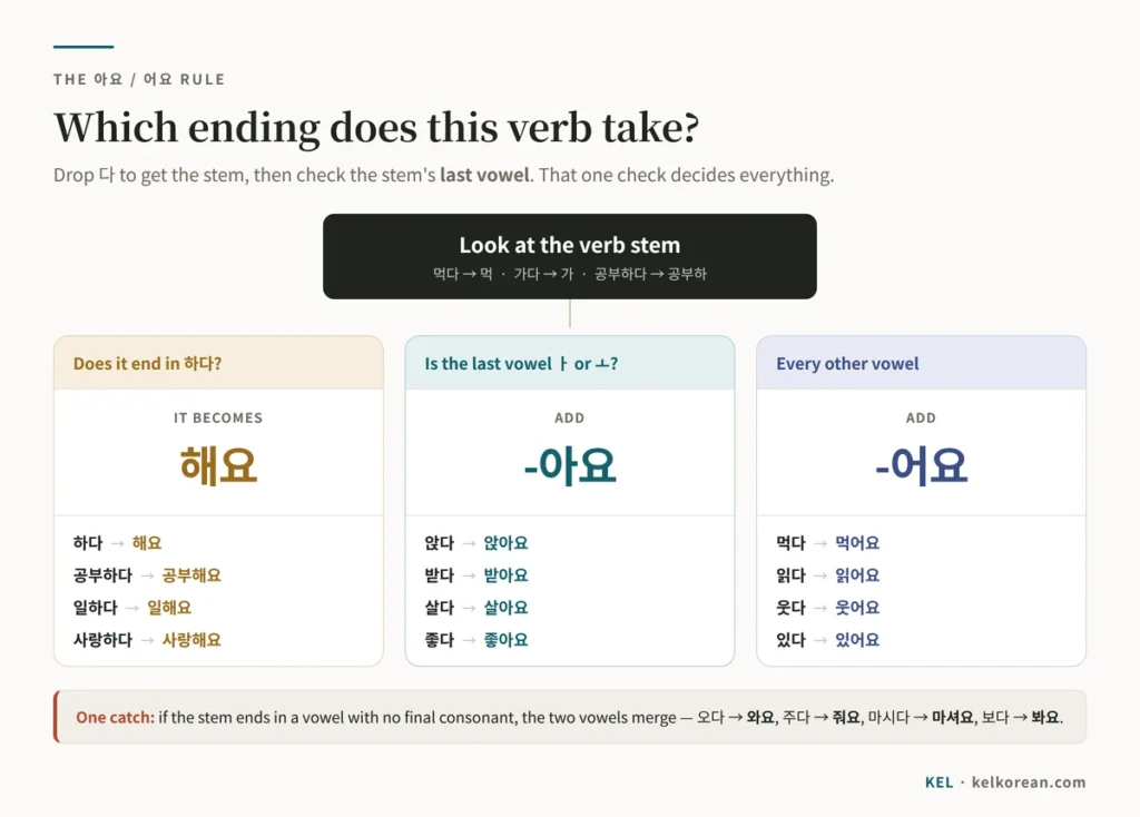 Korean 아요 어요 rule chart: verbs ending in 하다 become 해요, stems with the vowel ㅏ or ㅗ take 아요, and all other vowels take 어요