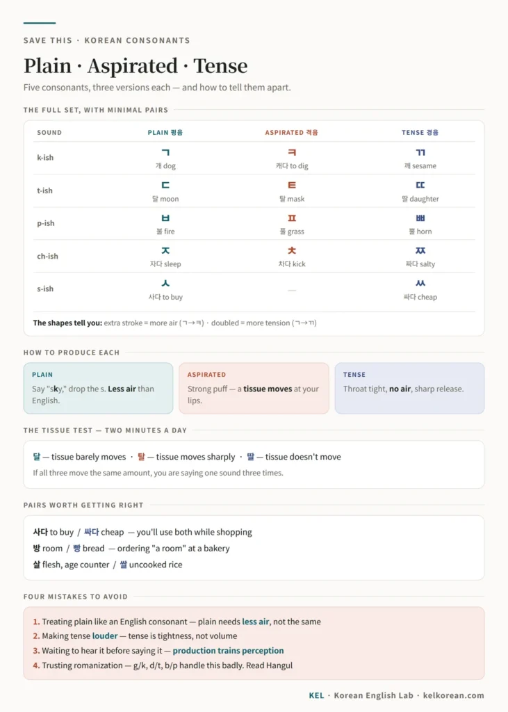 One-page Korean consonant cheat sheet with the full plain, aspirated and tense table, minimal pairs like 사다 and 싸다, the tissue test, and four mistakes to avoid