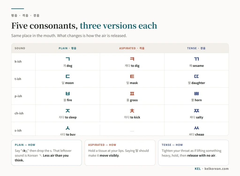 Chart of Korean plain, aspirated and tense consonants: ㄱ ㅋ ㄲ, ㄷ ㅌ ㄸ, ㅂ ㅍ ㅃ, ㅈ ㅊ ㅉ and ㅅ ㅆ, with an example word for each and how to produce it