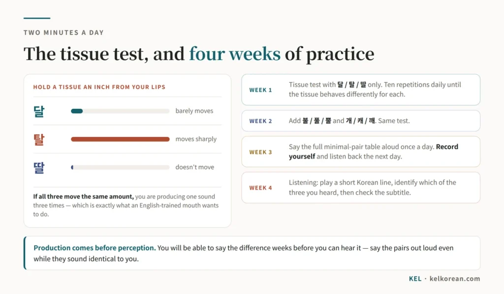 The tissue test for Korean consonants showing how much air 달, 탈 and 딸 release, beside a four-week practice plan