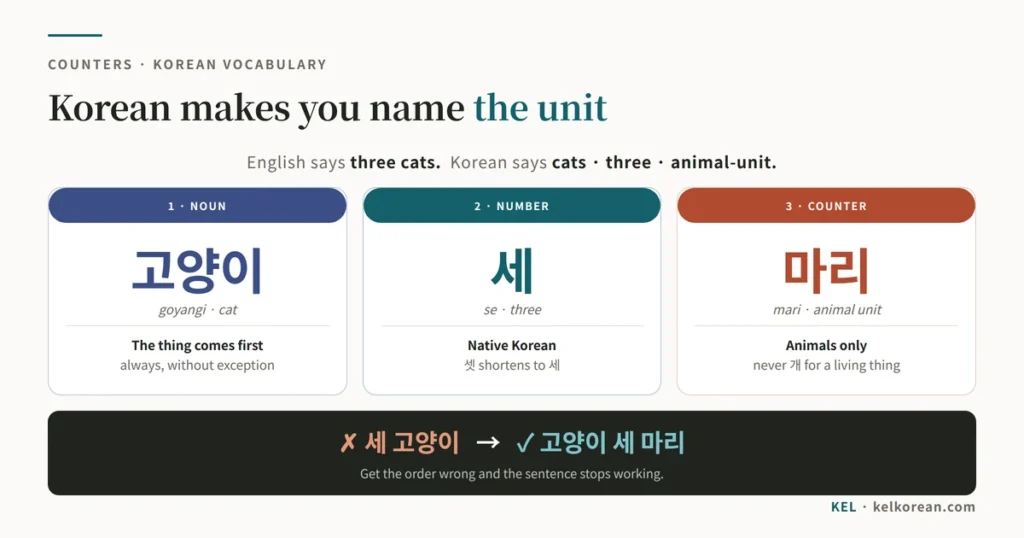 Korean counter word order explained: 고양이 세 마리 broken into the noun 고양이, the number 세, and the counter 마리, showing why 세 고양이 is incorrect