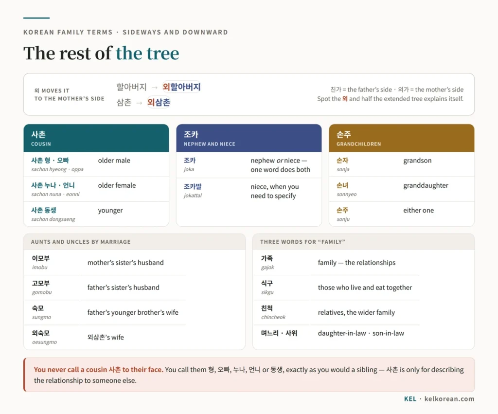 Chart of the remaining Korean family terms: 친가 and 외가 for the father's and mother's sides, 사촌 for cousins, 조카 for nephew and niece, 손자 손녀 손주 for grandchildren, the aunts and uncles by marriage 이모부 고모부 숙모 외숙모, and the difference between 가족 식구 and 친척