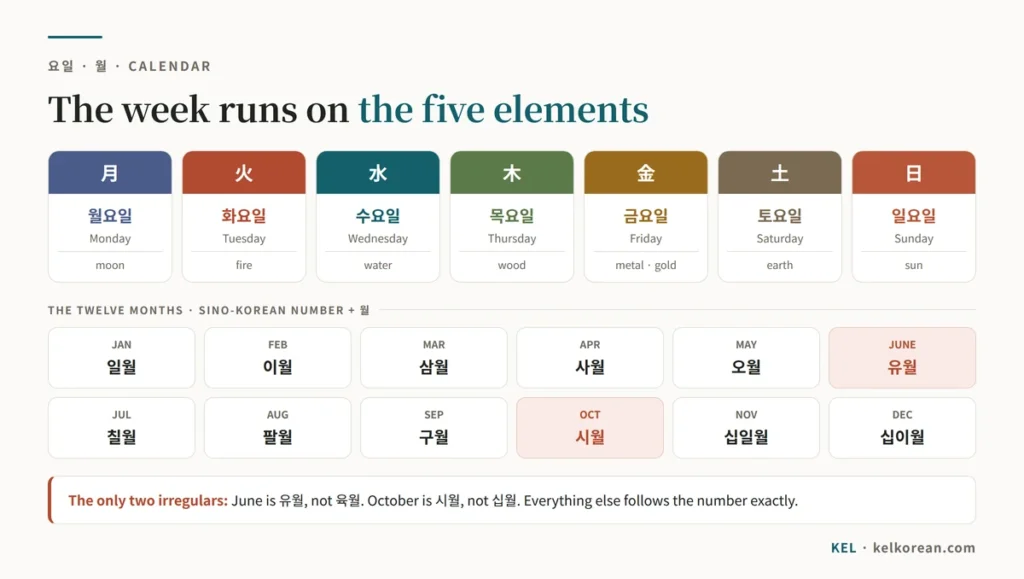 The seven Korean days of the week with their element meanings — 월요일 moon, 화요일 fire, 수요일 water, 목요일 wood, 금요일 metal, 토요일 earth, 일요일 sun — and all twelve months with 유월 and 시월 marked as irregular
