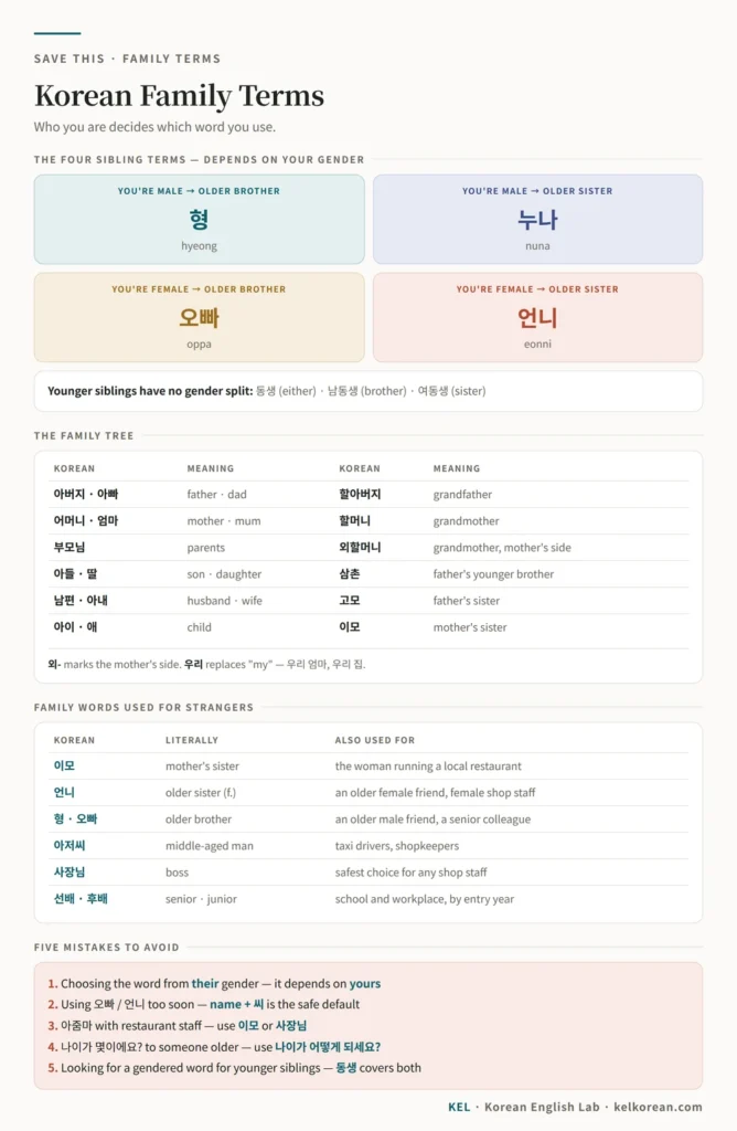 One-page Korean family terms cheat sheet with the four sibling words, the family tree, the terms used for strangers, and five common mistakes