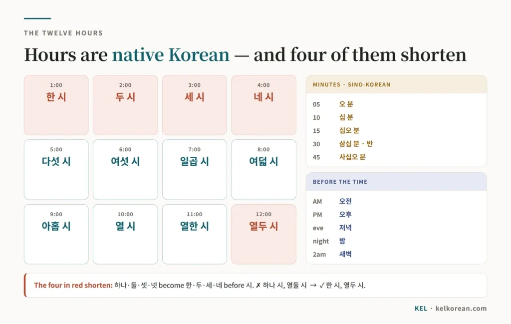 Chart of all twelve Korean hours in native numbers from 한 시 to 열두 시, with 한, 두, 세, 네 and 열두 marked as shortened forms, beside Sino-Korean minutes and the words 오전, 오후, 저녁, 밤 and 새벽