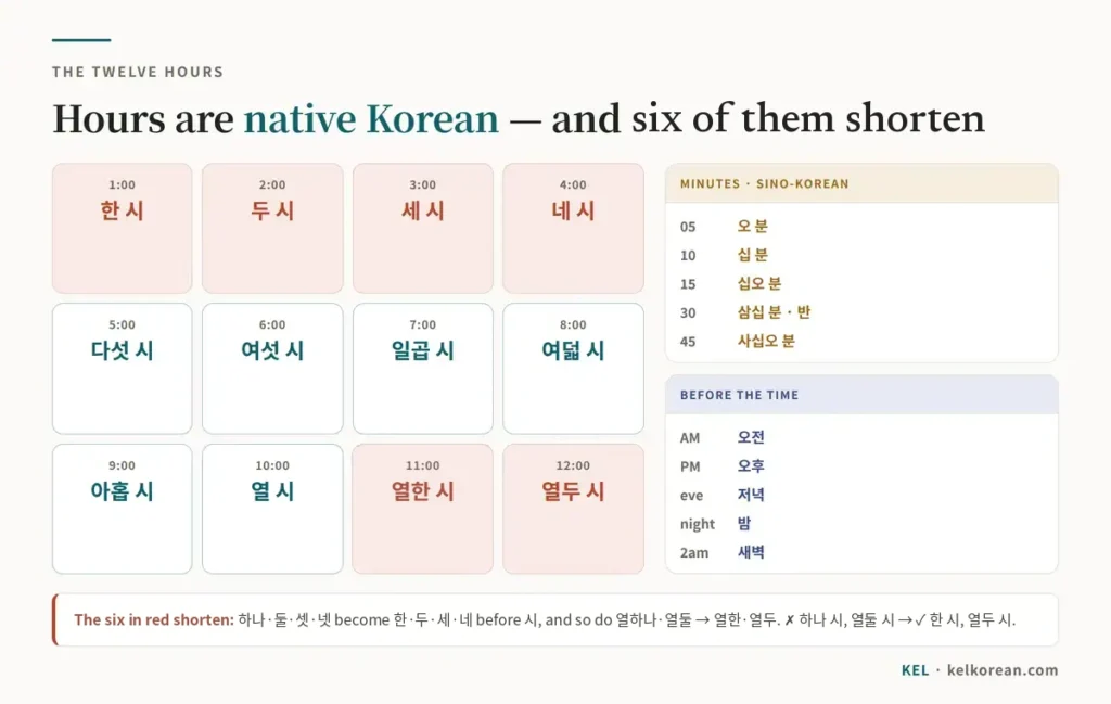 Chart of all twelve Korean hours in native numbers from 한 시 to 열두 시, with 한, 두, 세, 네, 열한 and 열두 marked as shortened forms, beside Sino-Korean minutes and the words 오전, 오후, 저녁, 밤 and 새벽
