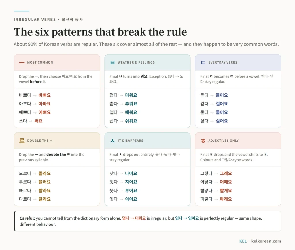 Chart of six Korean irregular verb patterns: ㄹ, ㅂ, ㄷ, 르, ㅅ and ㄸ, each with example conjugations such as 바쁘다 to 바빠요 and 춥다 to 추워요
