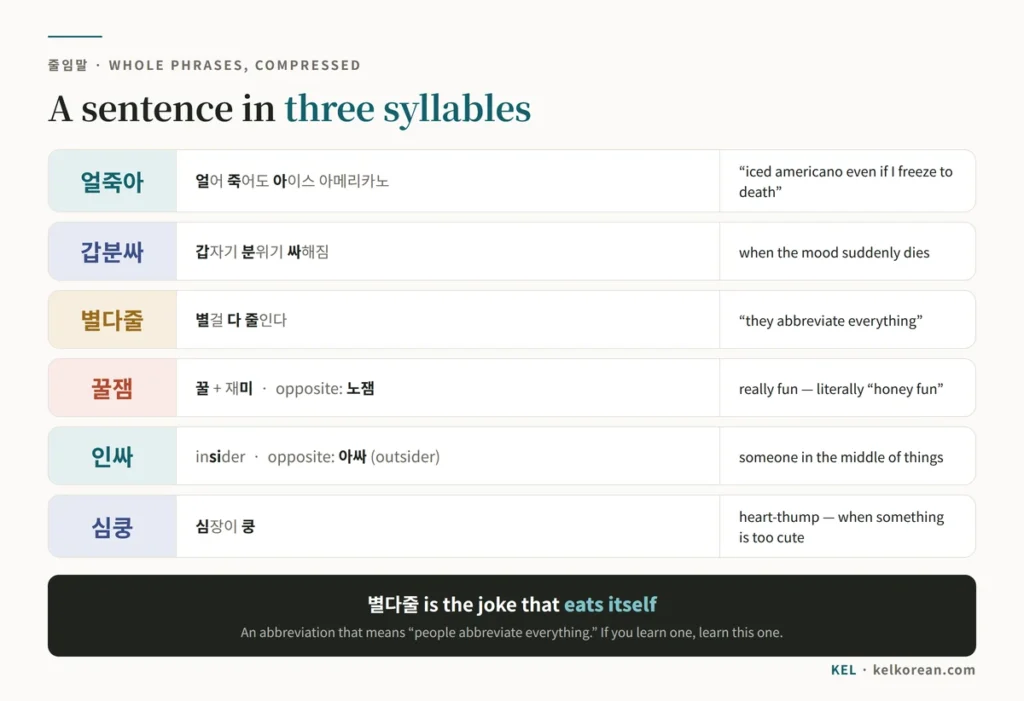 Chart of Korean phrase abbreviations showing the full phrase behind each one — 얼죽아 from 얼어 죽어도 아이스 아메리카노, 갑분싸 from 갑자기 분위기 싸해짐, 별다줄 from 별걸 다 줄인다, plus 꿀잼, 노잼, 인싸, 아싸 and 심쿵