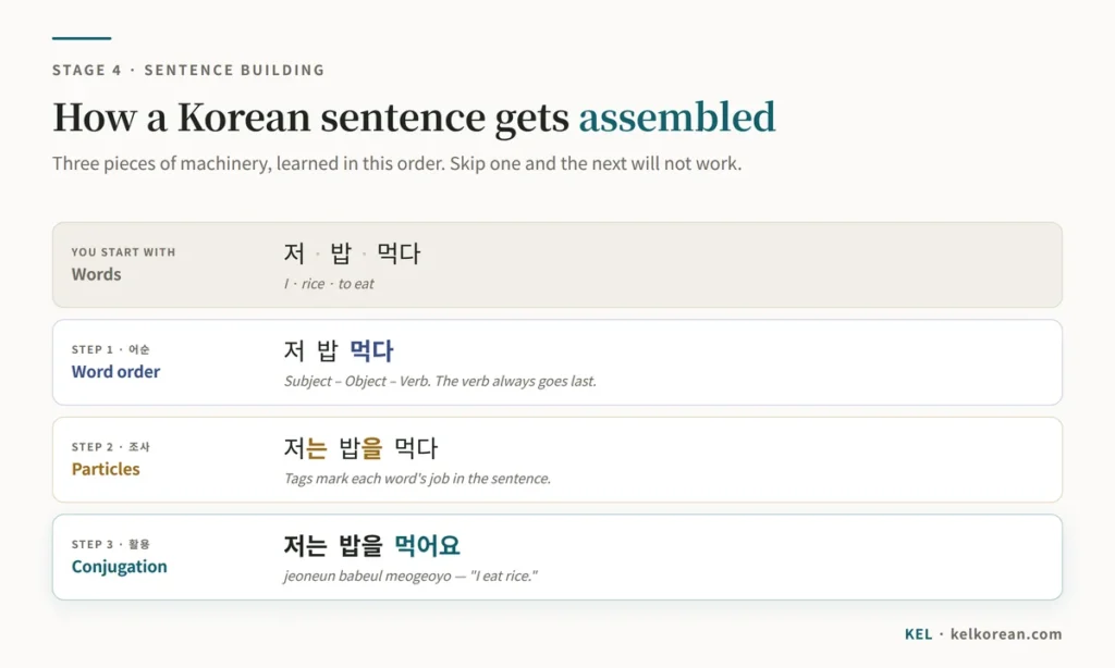 Diagram showing how a Korean sentence is assembled: the words 저, 밥 and 먹다 arranged in SOV order, then given particles 는 and 을, then conjugated into 저는 밥을 먹어요