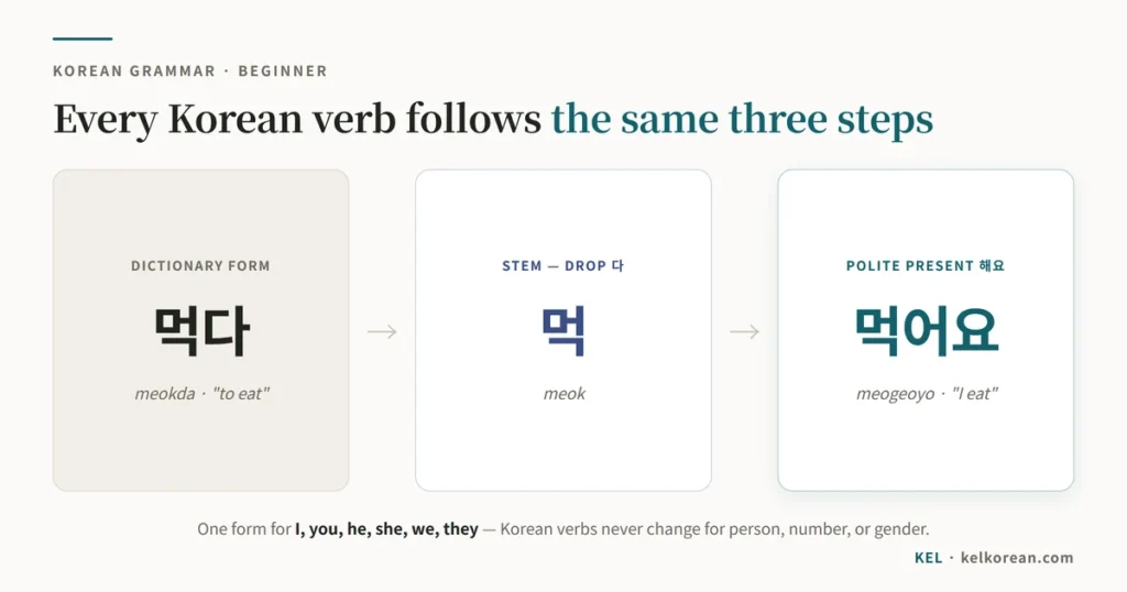 Korean verb conjugation in three steps: 먹다 (dictionary form) becomes 먹 (stem) and then 먹어요 (polite present tense)