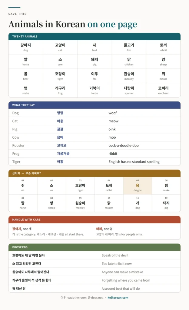 One-page reference sheet of animals in Korean with twenty animal words, the sounds each animal makes, the twelve zodiac animals, the animal counter 마리, and five animal proverbs
