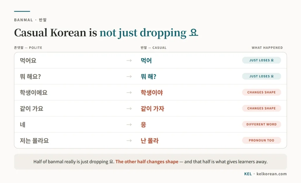 Chart comparing 존댓말 and 반말 forms of the same sentences — 먹어요 to 먹어 and 뭐 해요 to 뭐 해 marked as simply losing 요, and 학생이에요 to 학생이야, 같이 가요 to 같이 가자, 네 to 응 and 저는 몰라요 to 난 몰라 marked as changing shape