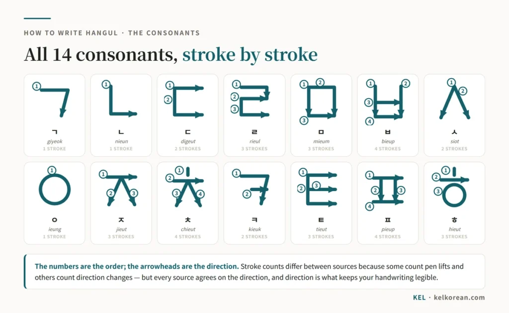Stroke-order chart for the 14 Hangul consonants ㄱ ㄴ ㄷ ㄹ ㅁ ㅂ ㅅ ㅇ ㅈ ㅊ ㅋ ㅌ ㅍ ㅎ, each drawn with numbered strokes and arrowheads showing the direction of every stroke