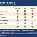 Chart showing how to pay in Korea — an overseas card, cash, a T-money card and WOWPASS compared across restaurants, self-order kiosks, subway and bus fares, T-money top-ups at convenience stores, street food and markets, and taxis, with the rule that a staffed terminal takes your card, a transit gate takes T-money and a stall takes cash