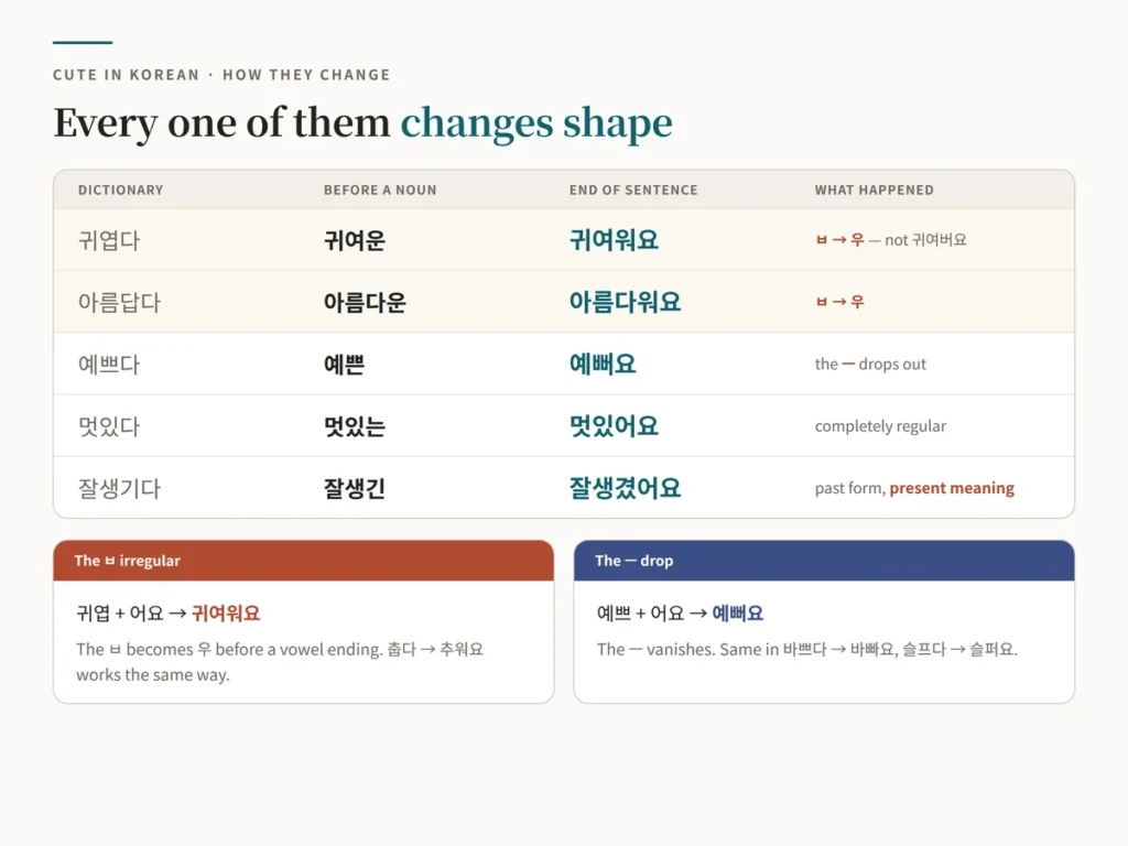 Conjugation chart of Korean appearance adjectives showing the dictionary form, the form used before a noun and the sentence-final form for 귀엽다, 아름답다, 예쁘다, 멋있다 and 잘생기다, with the ㅂ irregular that turns 귀엽 into 귀여워 and the dropped ㅡ that turns 예쁘 into 예뻐