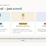 Chart introducing three Korean concepts with no English equivalent — 눈치 as reading the room, 정 as attachment that forms over time, and 한 as a contested collective sorrow — with guidance to use 눈치 freely, 정 with care, and only read about 한