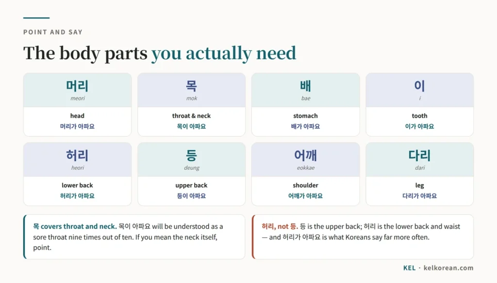 Chart of Korean body parts used with 아파요 — 머리 head, 목 throat and neck, 배 stomach, 이 tooth, 허리 lower back, 등 upper back, 어깨 shoulder and 다리 leg — each shown with the correct particle attached
