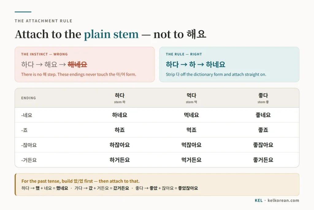 Chart showing that Korean sentence endings attach to the plain verb stem rather than the 해요 form — 하다 becomes 하네요 not 해네요 — with 하다 먹다 and 좋다 conjugated across 네요 죠 잖아요 and 거든요, and the past-tense rule underneath