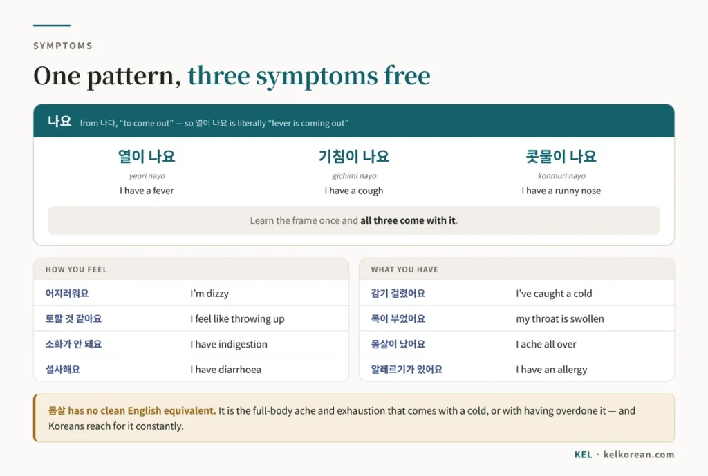 Chart of Korean symptom phrases built from 나다 — 열이 나요 for fever, 기침이 나요 for a cough and 콧물이 나요 for a runny nose — alongside 어지러워요, 토할 것 같아요, 감기 걸렸어요, 목이 부었어요 and 몸살이 났어요