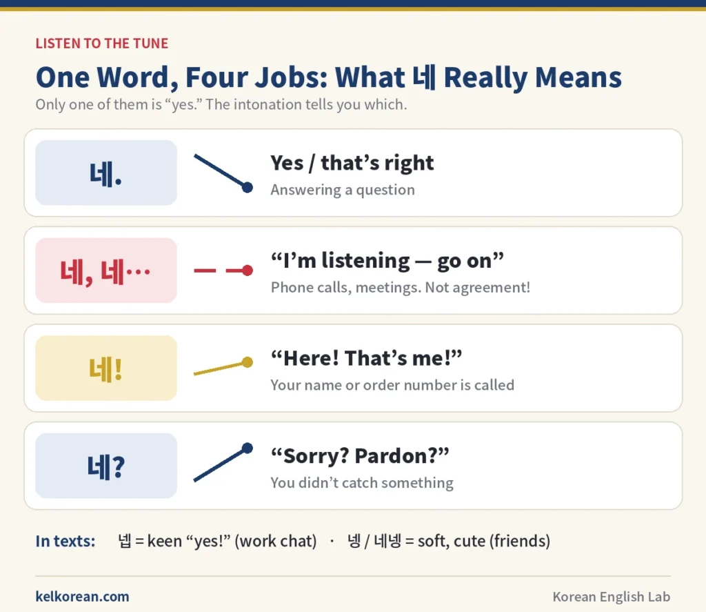 Chart of the four meanings of 네 by intonation — falling 네 for yes, soft repeated 네 네 for "I'm listening", bright 네 when your name is called, and rising 네 for "pardon?" — with pitch arrows for each and the texting forms 넵 and 넹