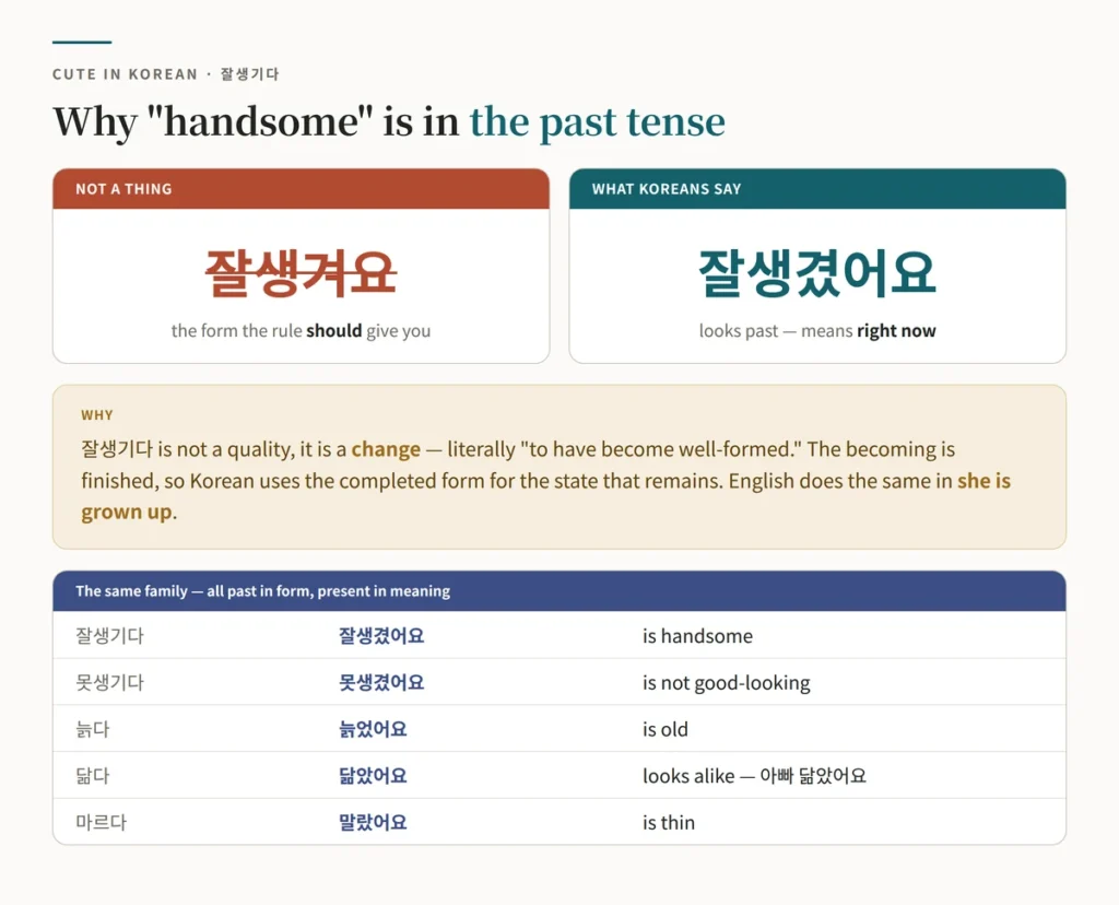 Chart explaining why the Korean word for handsome uses the past tense form 잘생겼어요 to describe the present, because 잘생기다 means to have become well-formed, with the same-family verbs 못생기다, 늙다, 닮다 and 마르다 and the incorrect form 잘생겨요 crossed out
