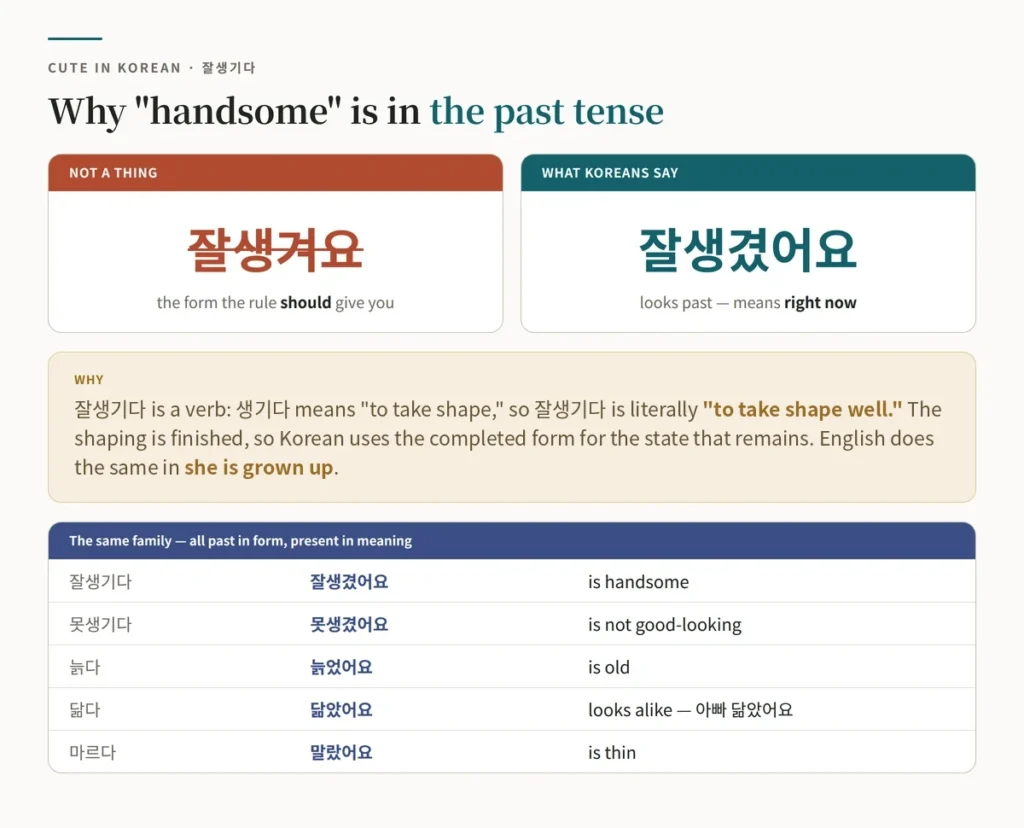 Chart explaining why the Korean word for handsome uses the past tense form 잘생겼어요 to describe the present, because 잘생기다 means to take shape well and the shaping is already done, with the same-family verbs 못생기다, 늙다, 닮다 and 마르다 and the incorrect form 잘생겨요 crossed out