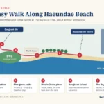 Map of an easy walk along Haeundae Beach in Busan: from the HAEUNDAE letters near Haeundae Station Exit 5, through the pine-grove hydrangea and barefoot clay paths, past the Westin Josun and around Dongbaek Island to The Bay 101 marina by Marine City